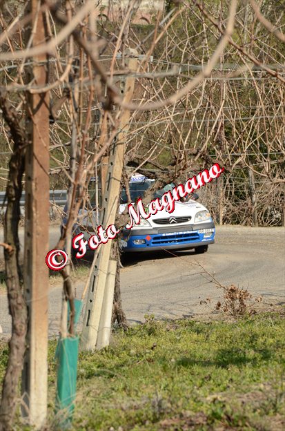 DSC_7339.jpg
